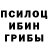 Псилоцибиновые грибы Psilocybe Tyler McMunn
