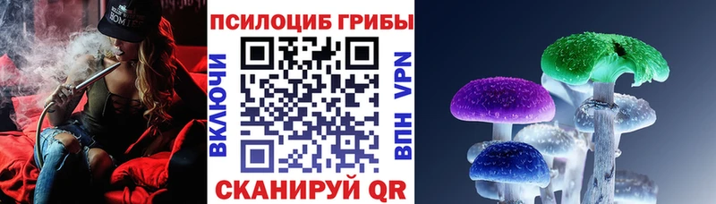 наркотики  Ногинск  Псилоцибиновые грибы прущие грибы 