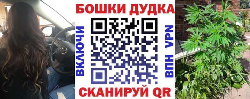 kraken ССЫЛКА  Ногинск  МАРИХУАНА Amnesia 